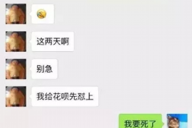 灵台融资清欠服务